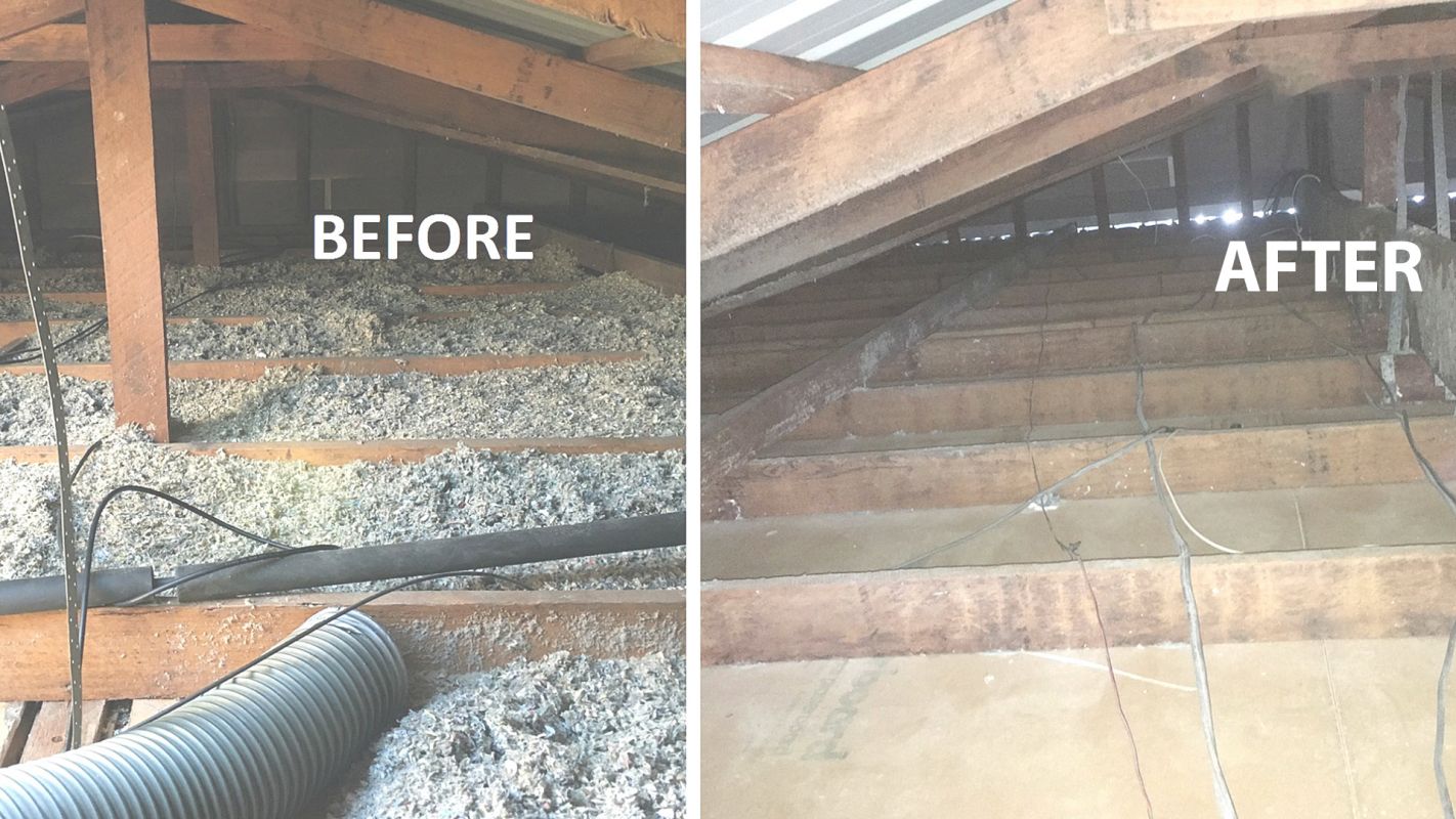 Affordable Attic Insulation Removal in Superior, CO