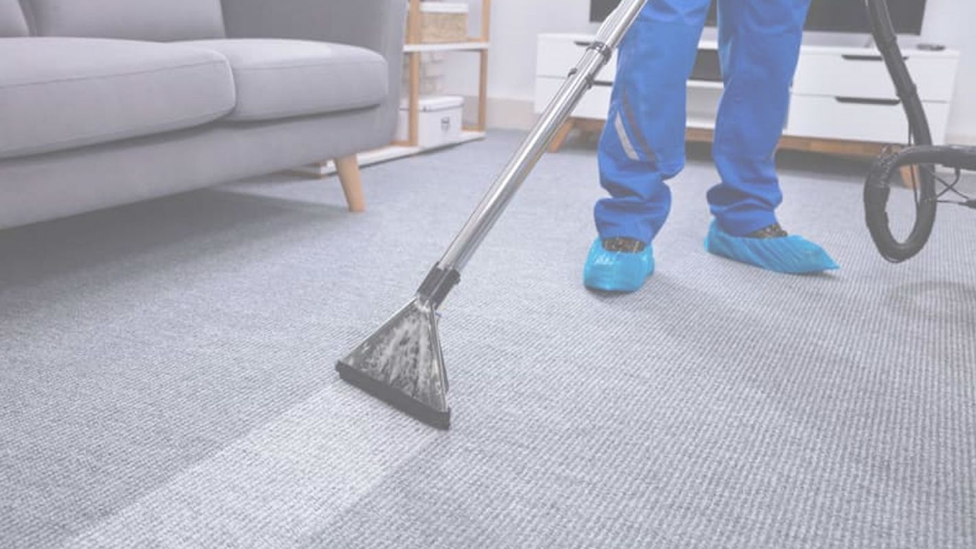 The #1 Carpet Cleaning in Town Mansfield, TX