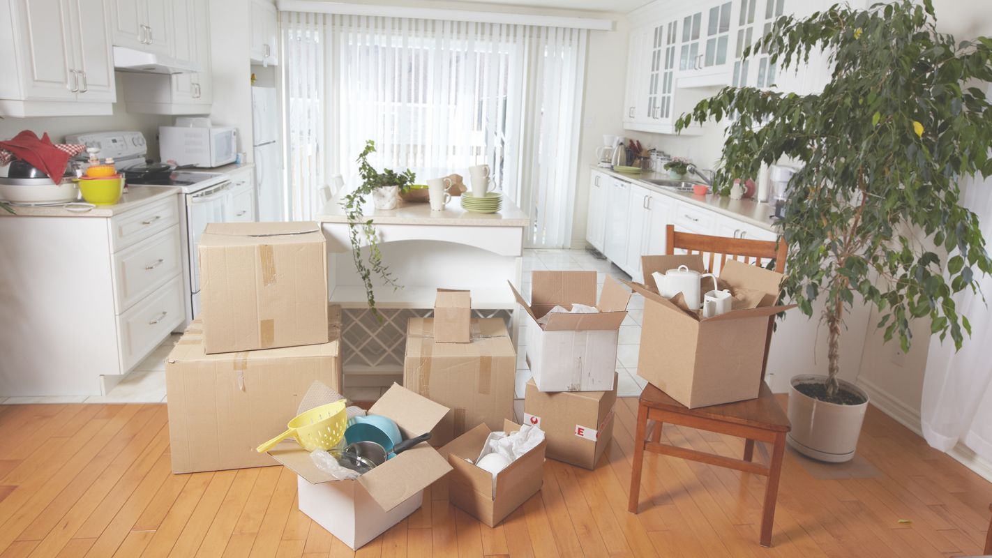 Renowned and Credible Apartment Cleanup Services in Town Edison, CA