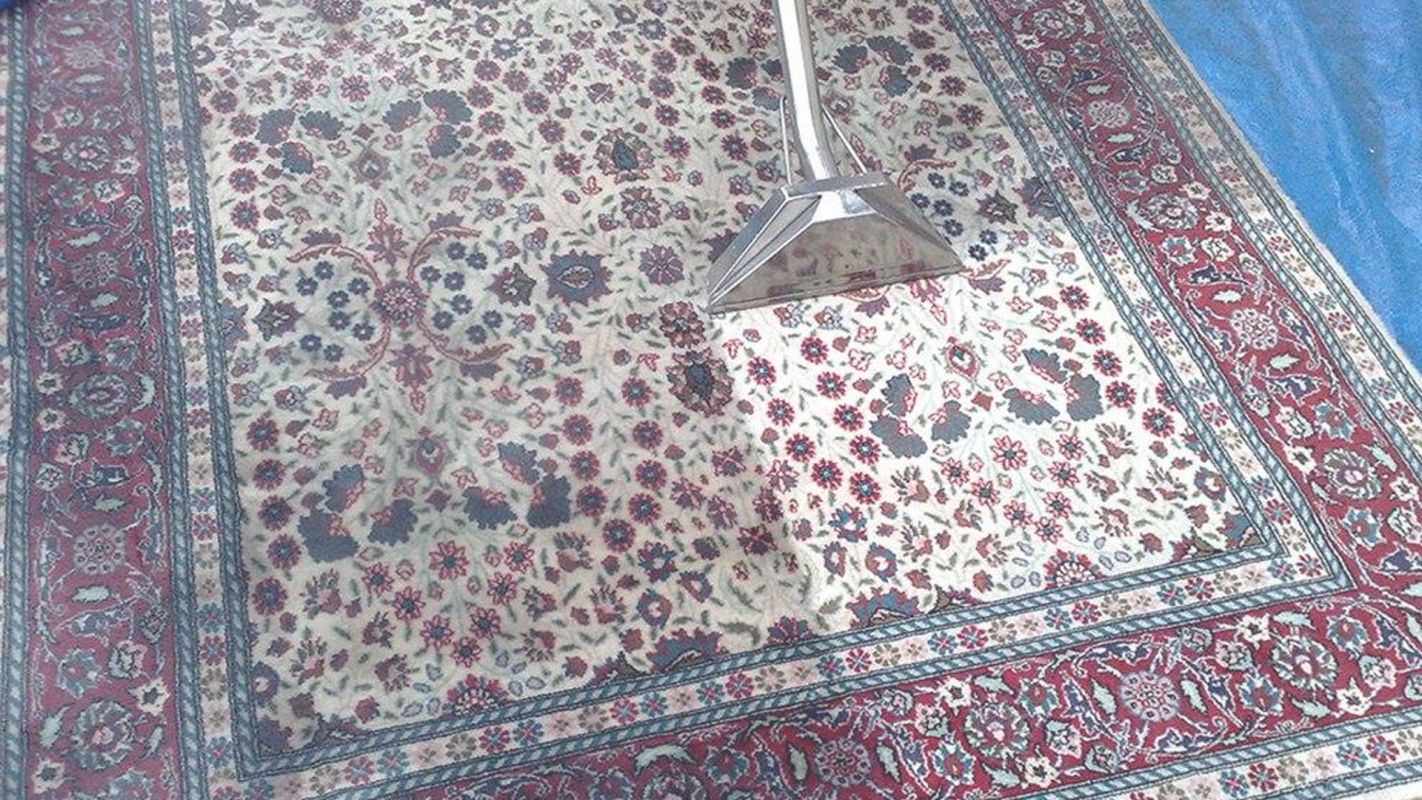Affordable Rug Cleaning Services You Can Ever Find McCordsville, IN