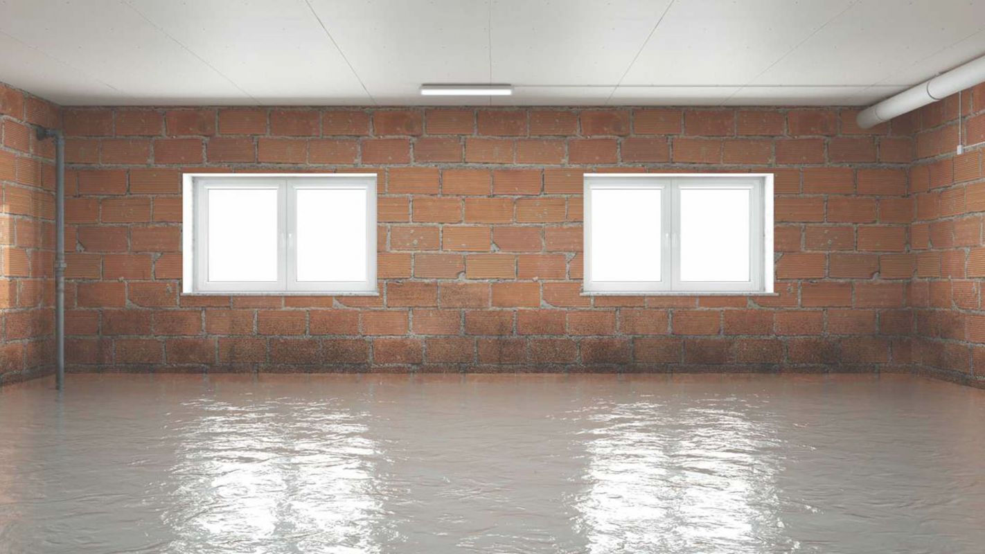 Get an Emergency Specialist for Basement Flood Clean Up for Your Ease Scottsdale, AZ