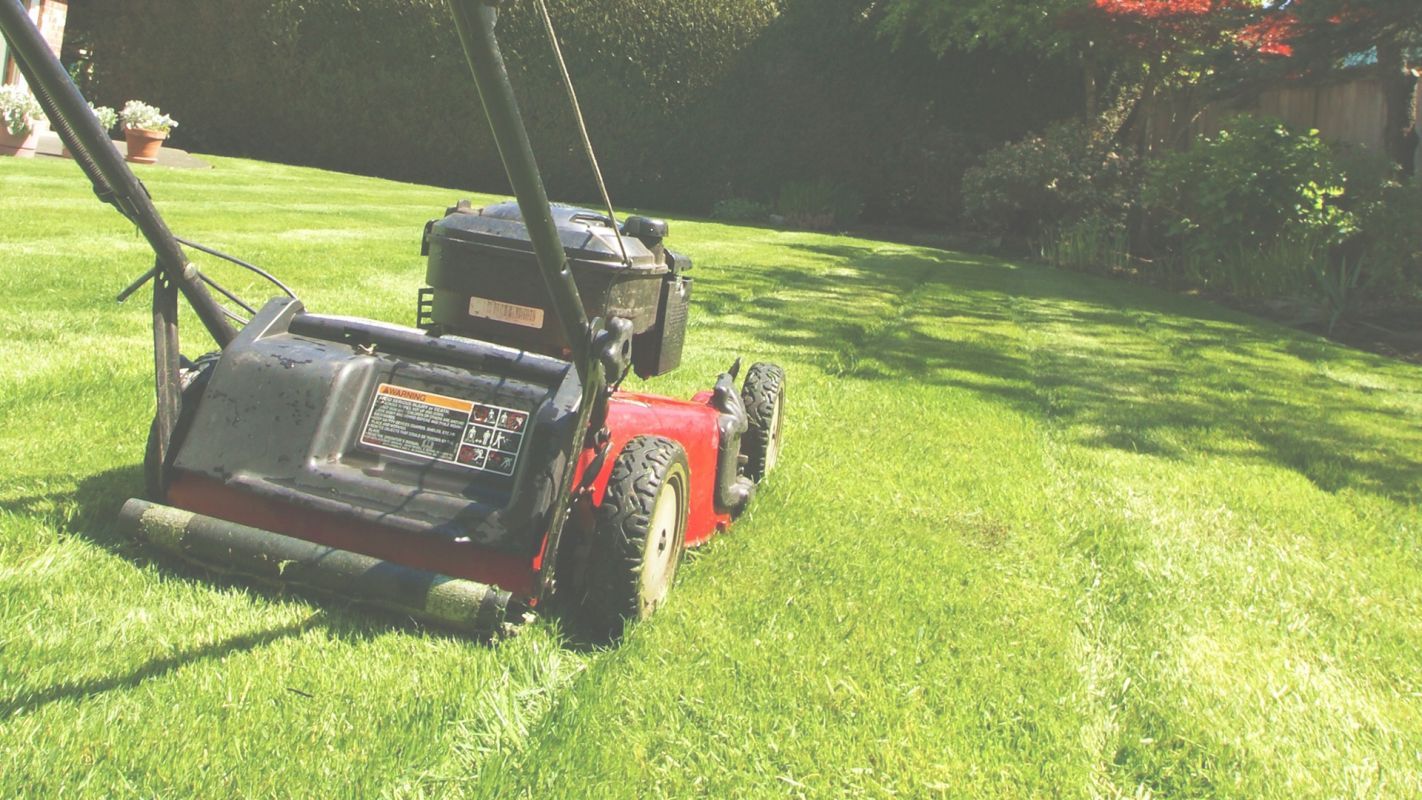 Lawn Service Provider Guaranteeing Reliability and Quick Response New Braunfels, TX