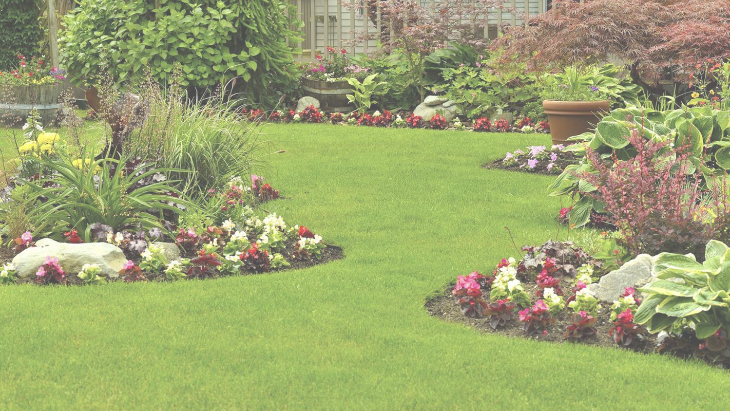 Affordable Landscaping for Your Property San Antonio, TX