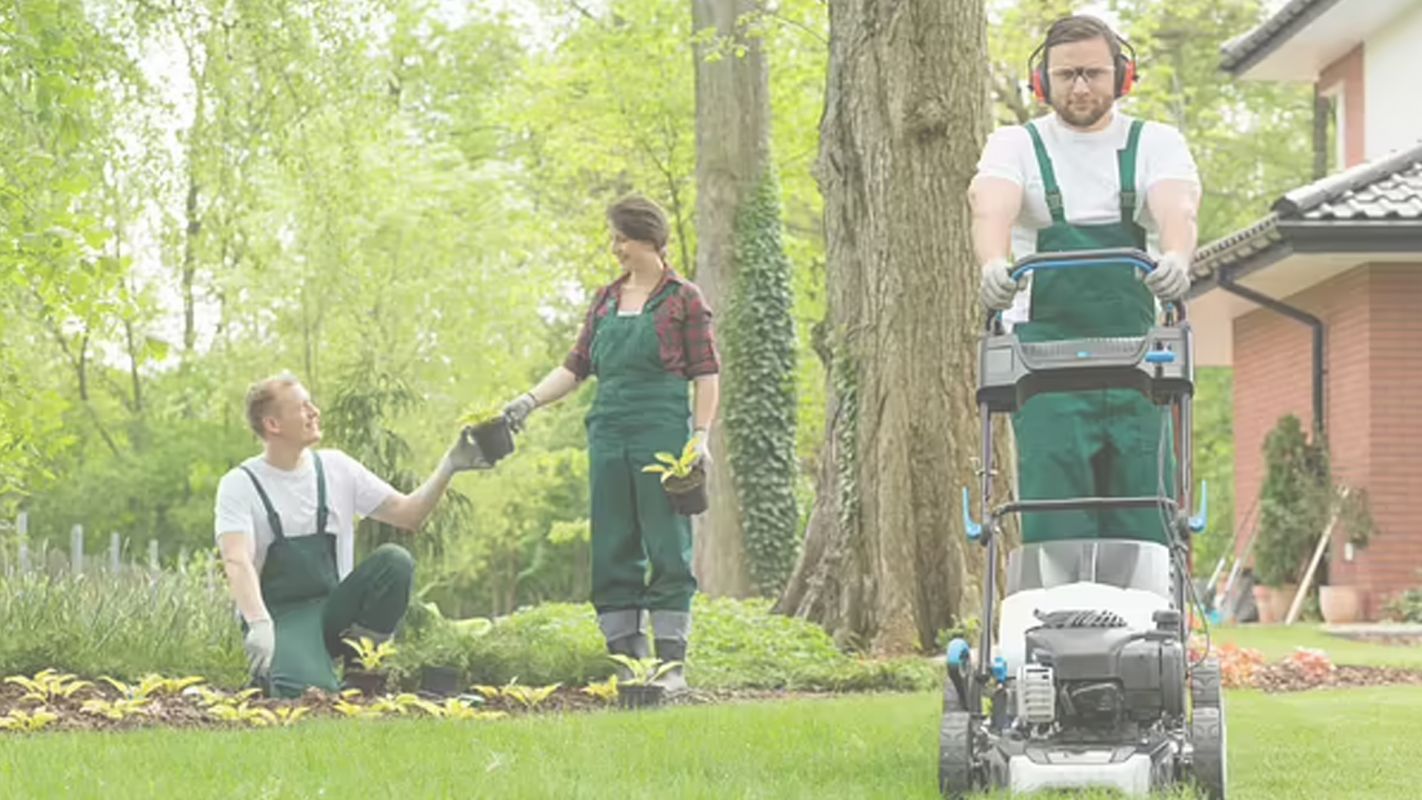 Lawn Care Services Guaranteeing Quality Results San Antonio, TX