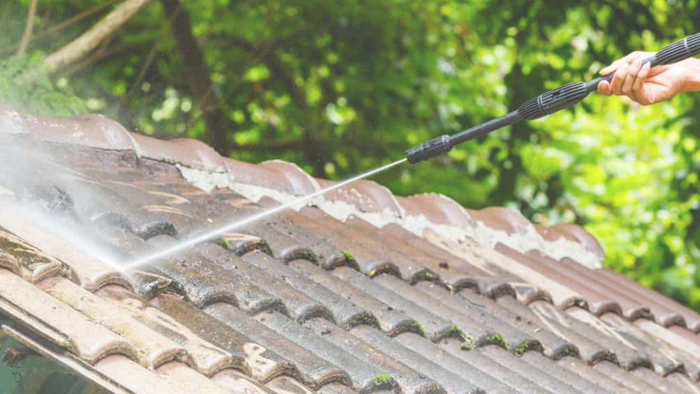 Best Roof Pressure Cleaners in Town Aventura, FL