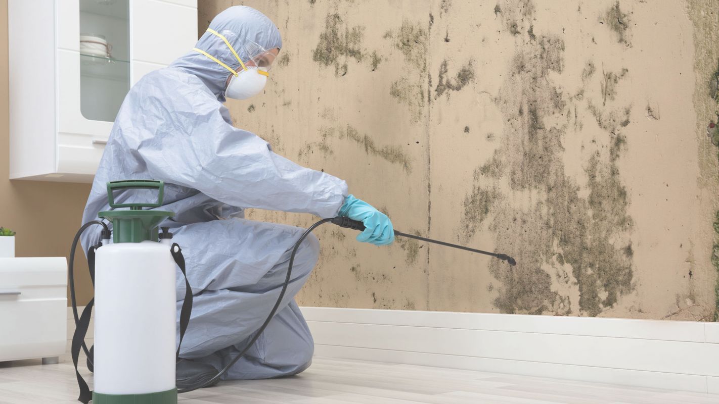 Mold Remediation Done Thoroughly Kanawha County, WV
