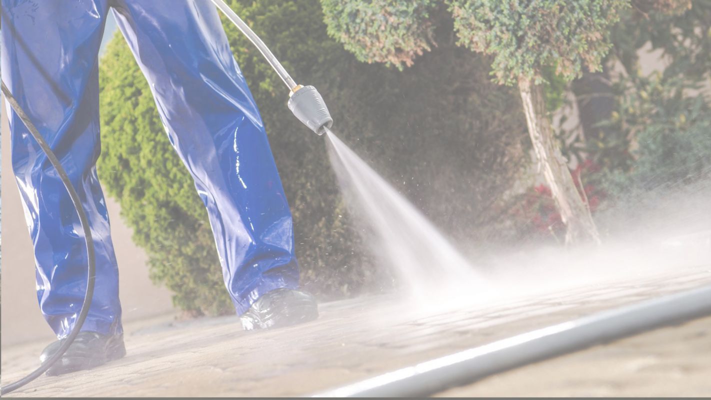 Professional Pressure Washing Guy at Your Service Pompano Beach, FL