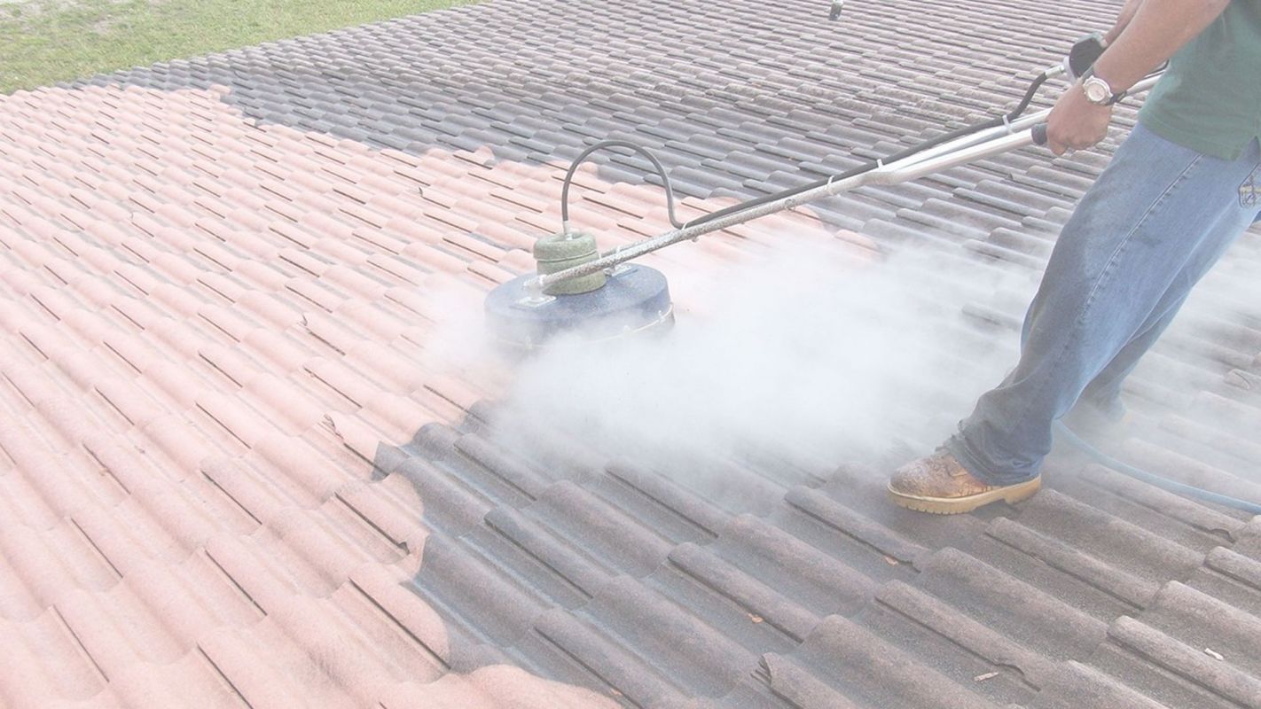 Roof Cleaning Near San Marcos, TX