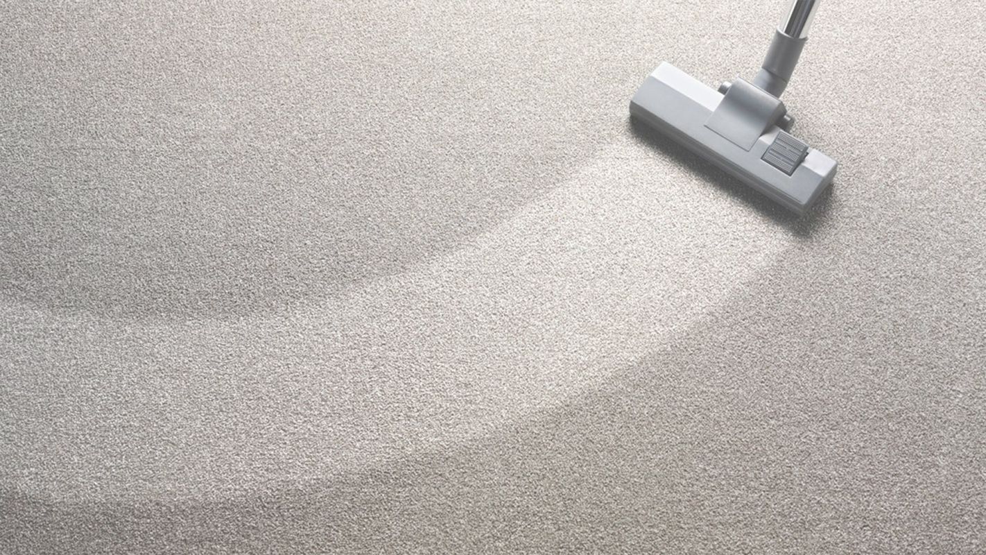 Reduce Your Carpet Cleaning Services Cost by Hiring us Towson
