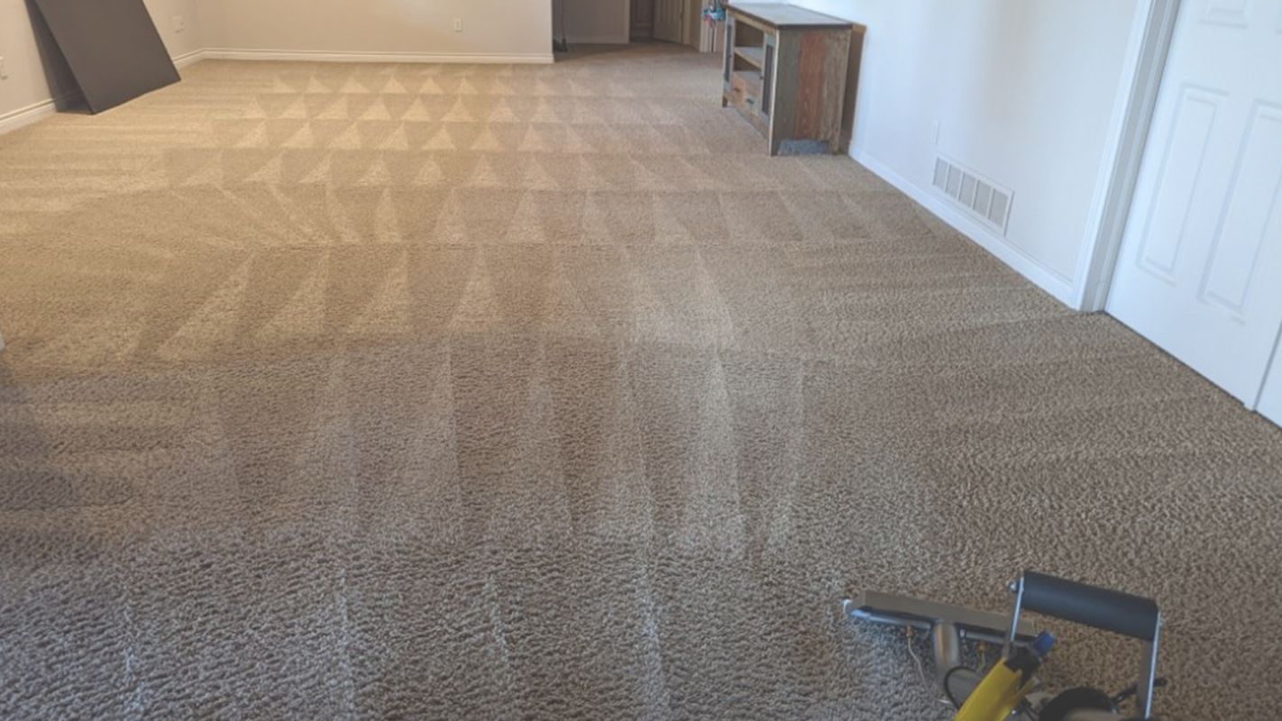 The Best Carpet Cleaning Service – Your Carpet Matters to Us Aurora, CO