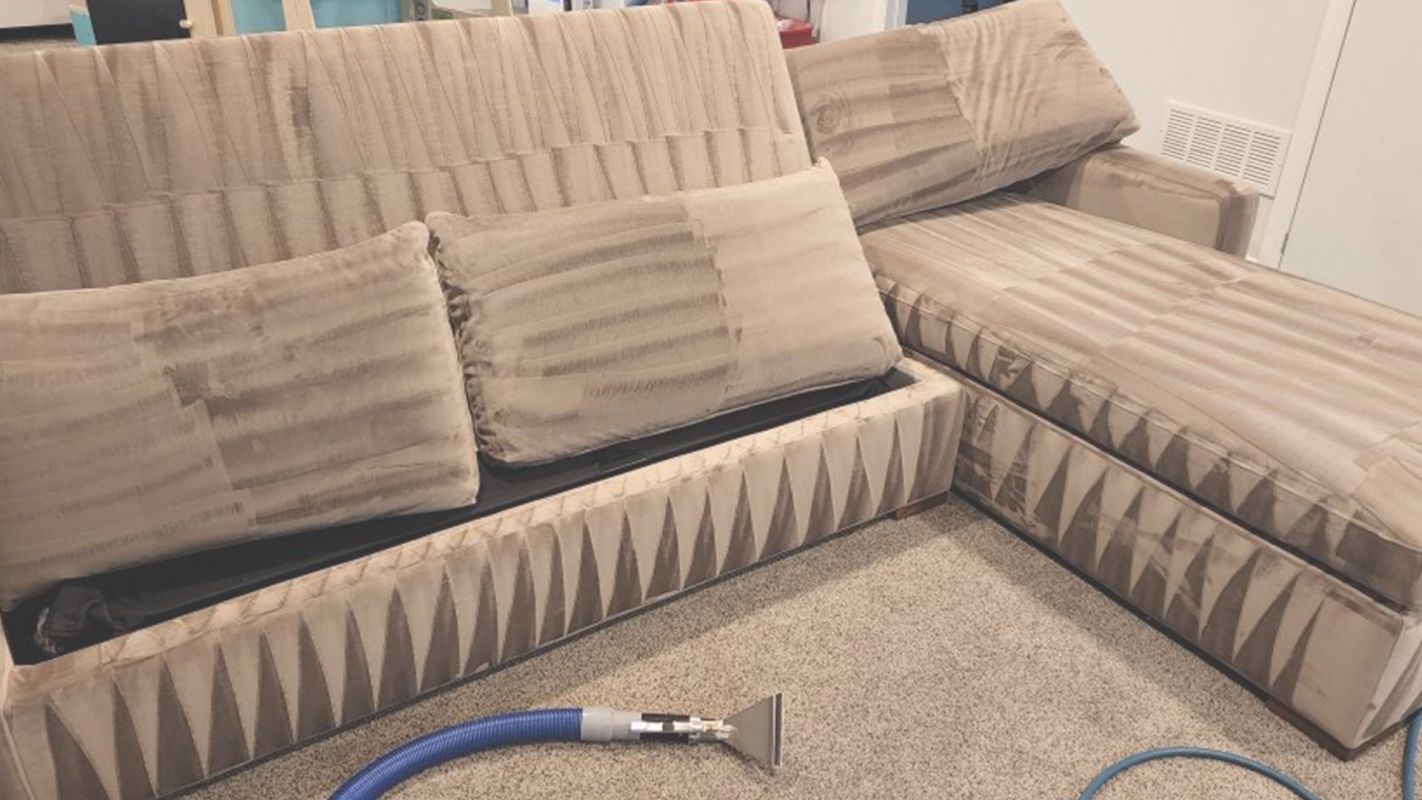 Top-Notch Upholstery Cleaning Services in Denver, CO