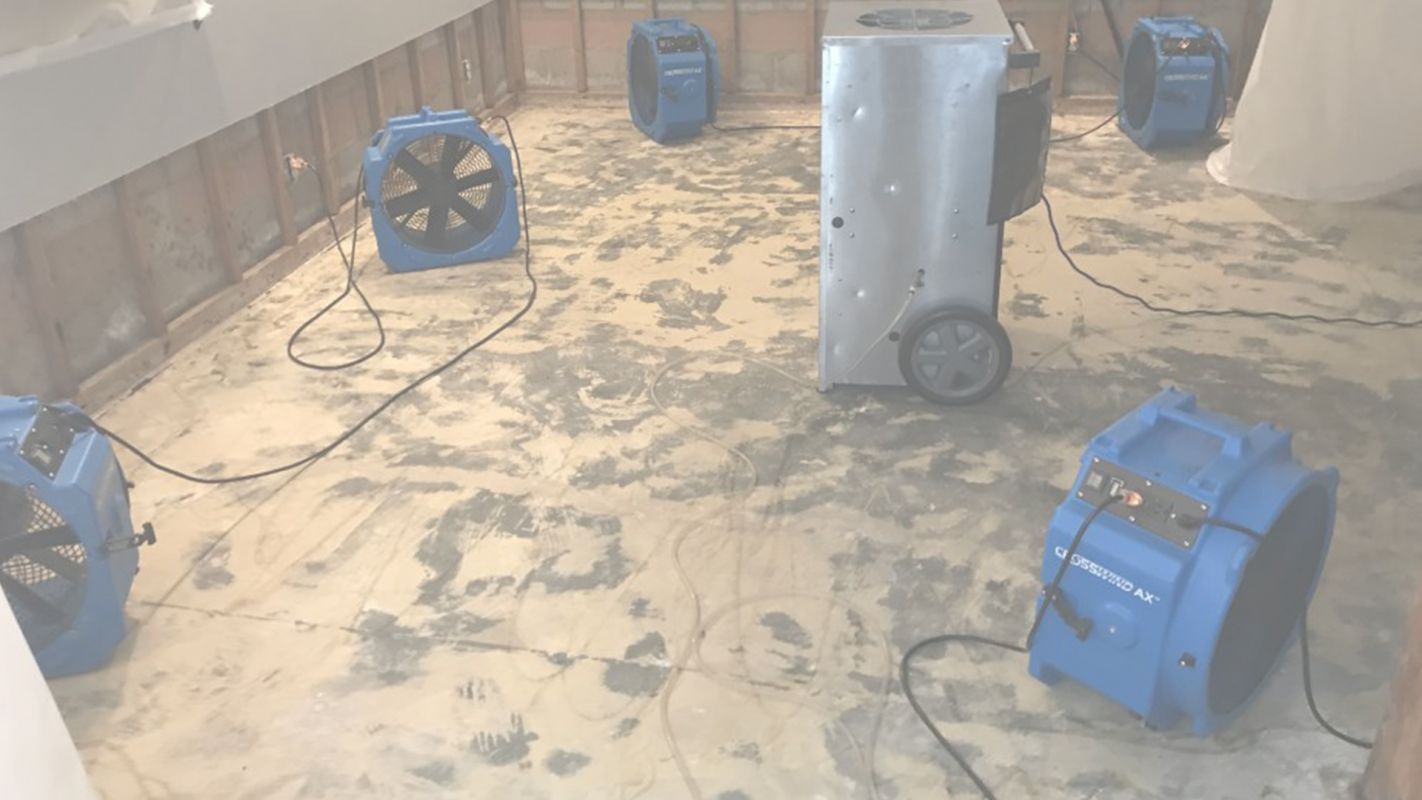 Hire Us for Water Damage Clean-up Service Baltimore, MD