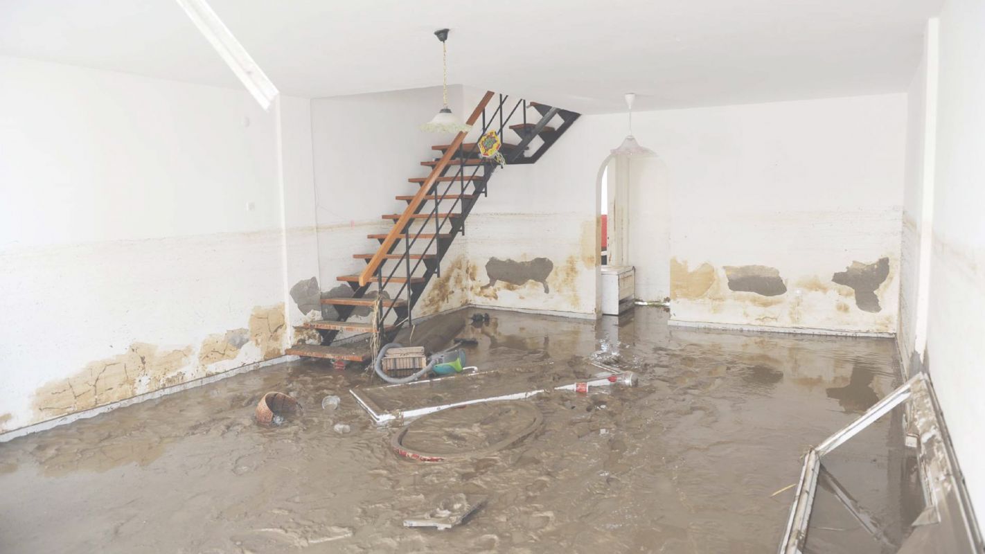 Leading Basement Flood Removal Service Provider Ellicott City, MD