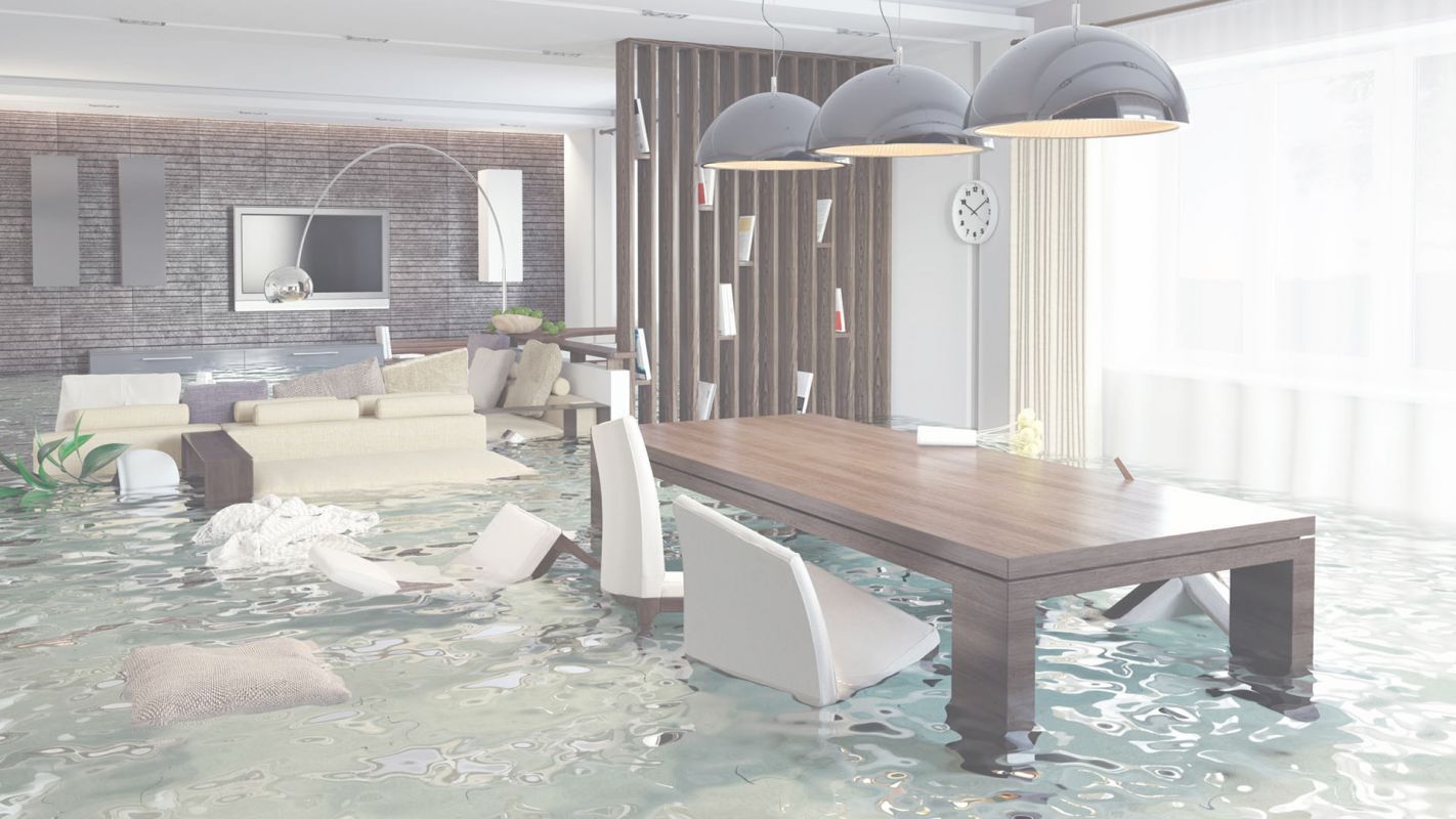 We Understand Your Water Damage Remediation Needs Annapolis, MD
