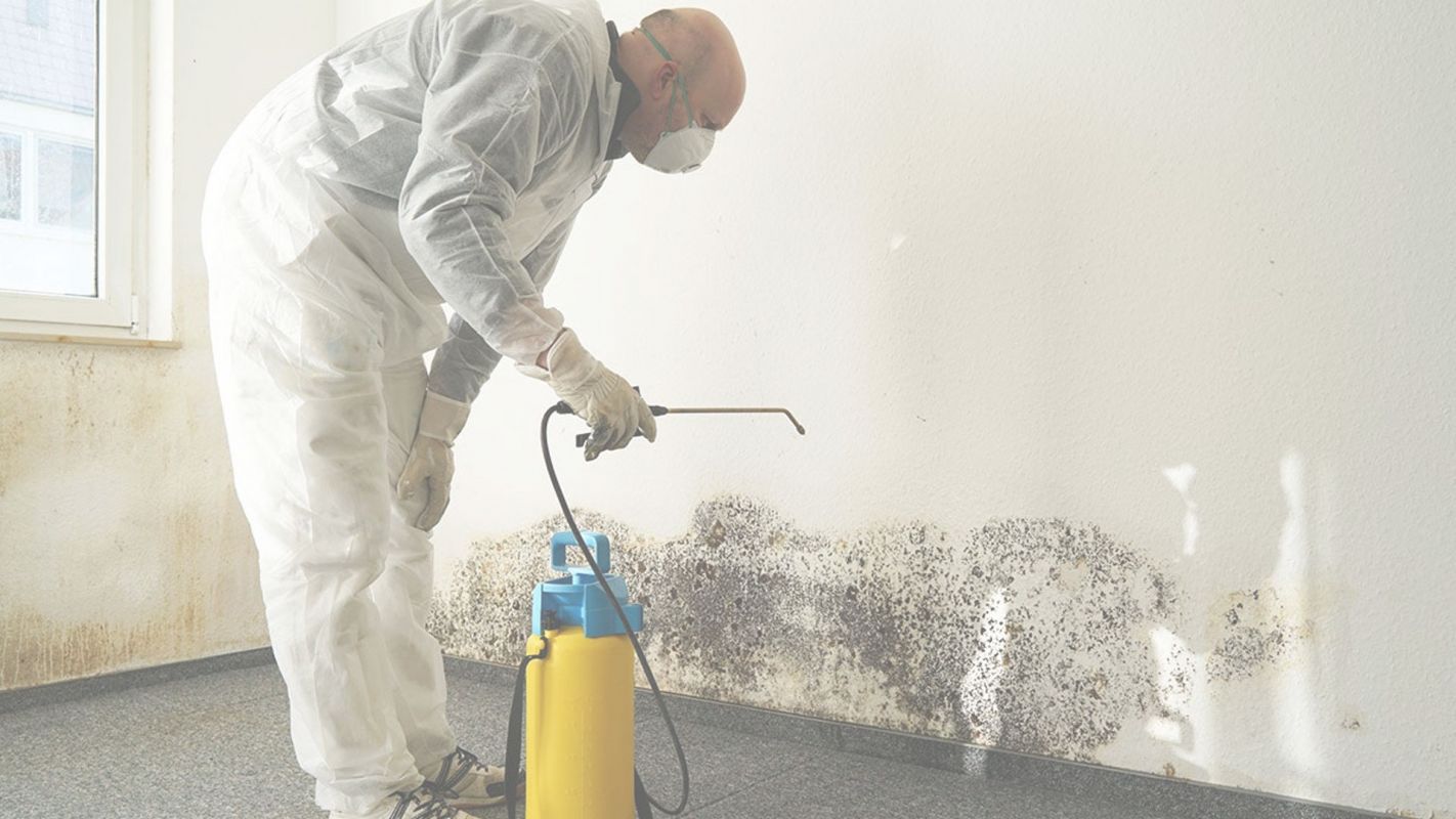 Get Low Mold Remediation Cost in your Town Stone Mountain, GA