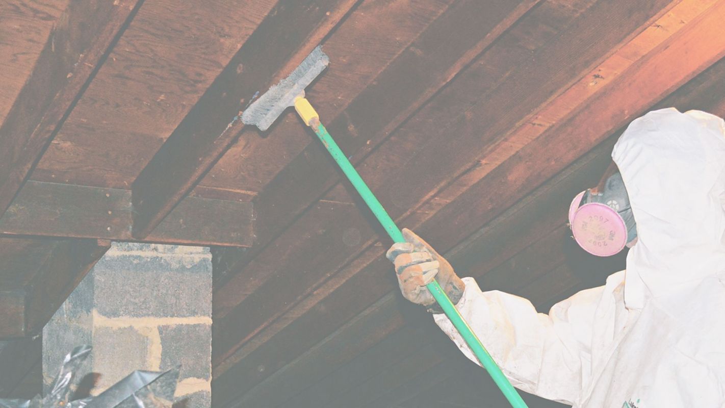 For Attic Mold Removal, Choose Professionals Like Us! Dunwoody, GA