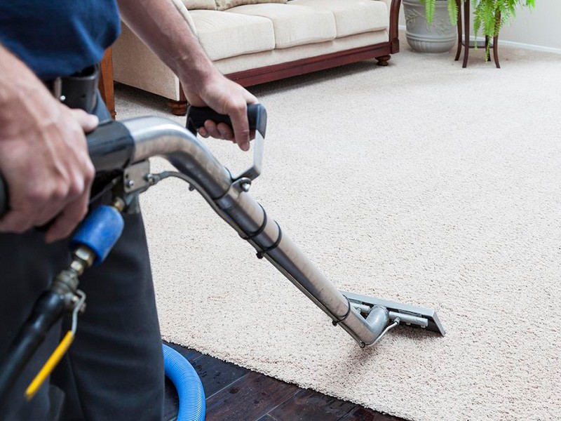 Bringing A Tradition Of Excellence In Carpet Cleaning Services
