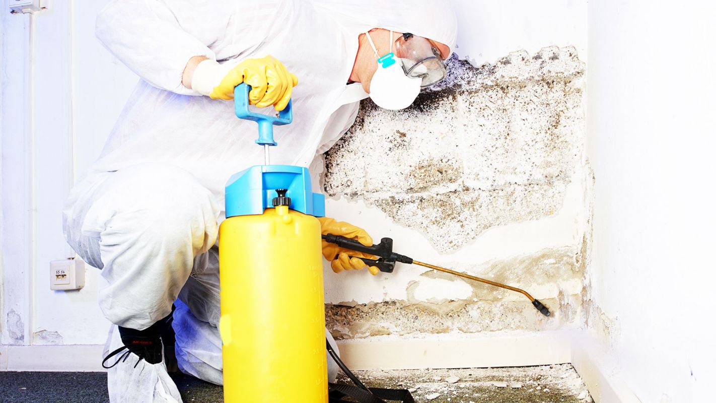 San Diego, CA’s Specialized Mold Removal Contractors San Diego, CA