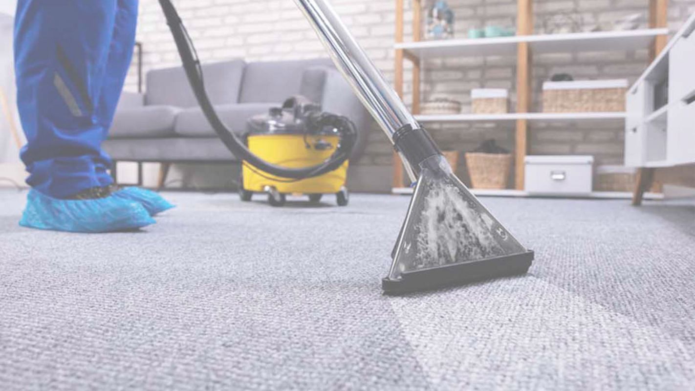 How Much Does Carpet Cleaning Cost? Cincinnati, OH