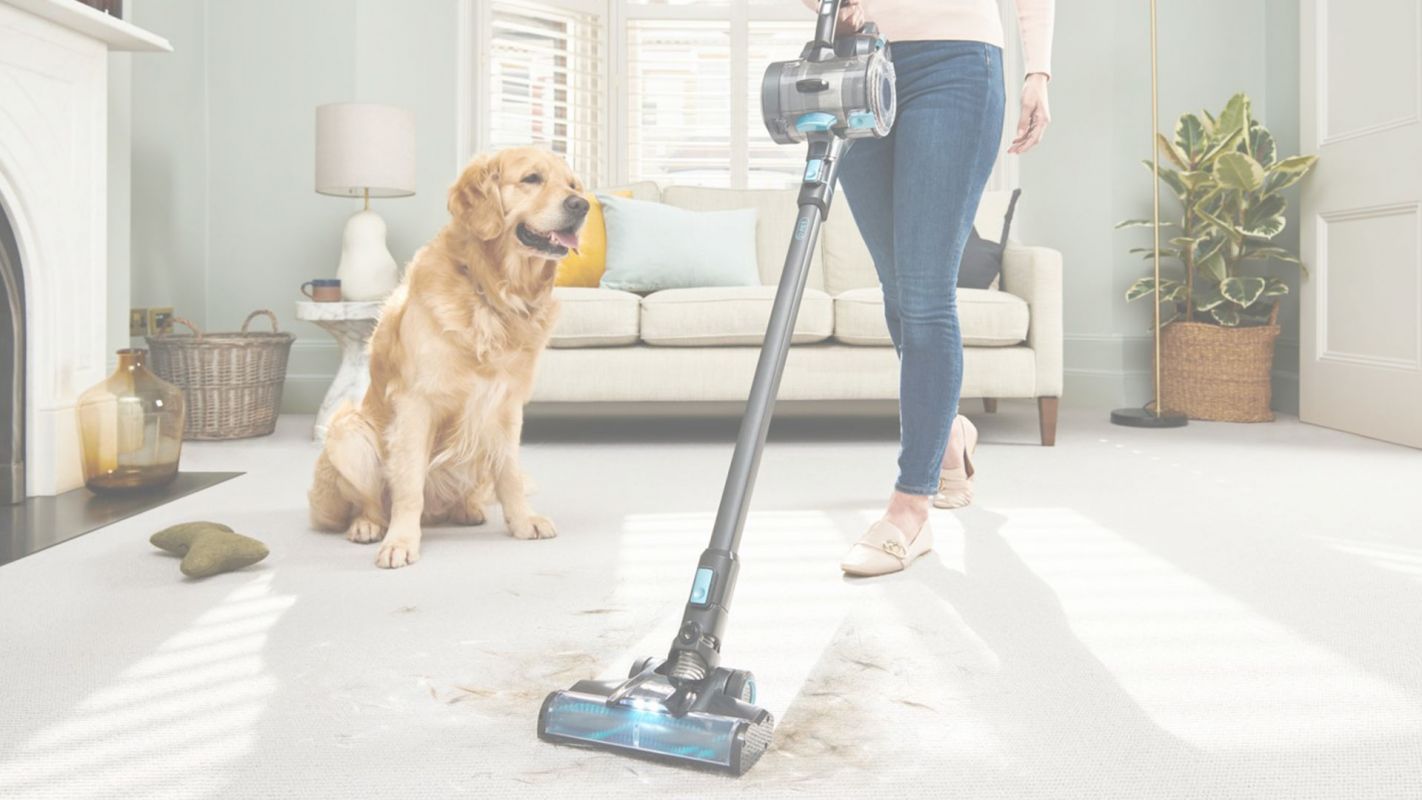 Hire Pet Stain Carpet Cleaner for Better Health Cincinnati, OH