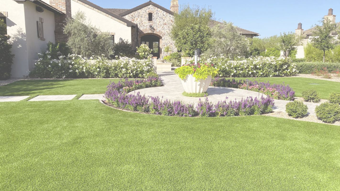 Affordable Landscaping for Everyone in Richardson, TX