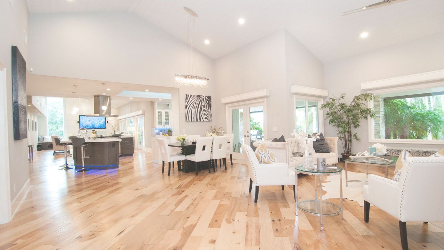 Affordable House Renovation Service in Albany, CA