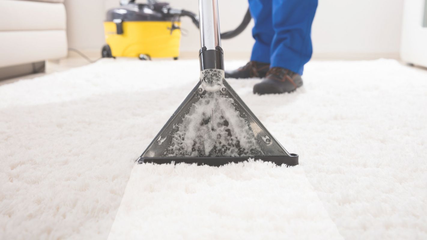 Professional Carpet Cleaners in Santa Barbara, CA