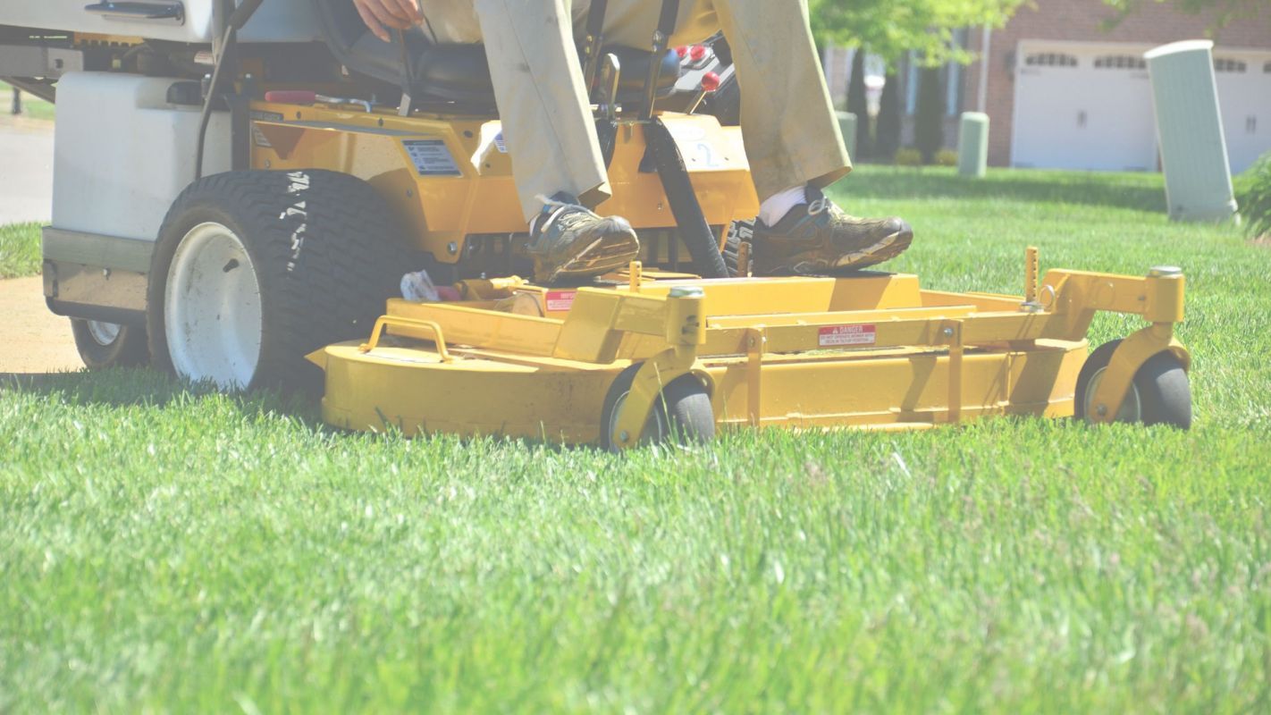 Lawn Fertilizer Service to Improve Overall Growth New Hyde Park, NY