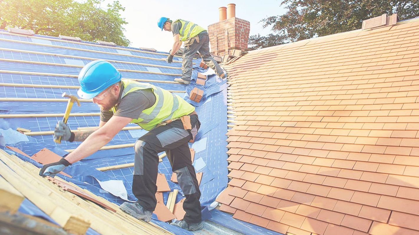 Professional Roof Installers in Riverview, DE