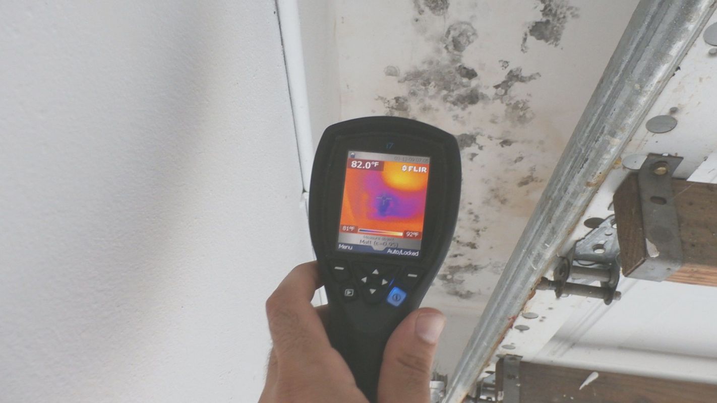 Mold Inspection Services that Identify Mold in Your Home Olympia Fields, IL