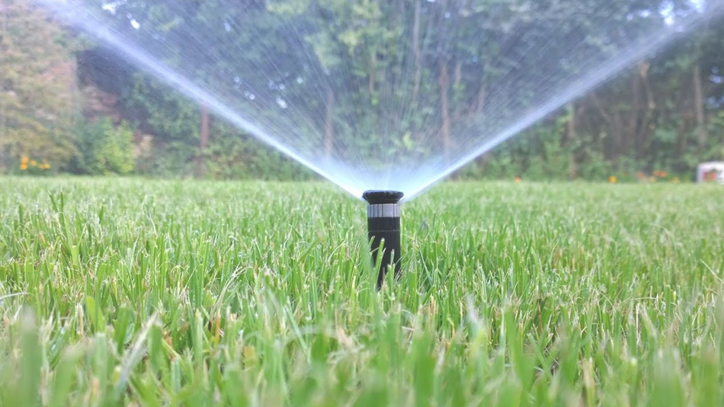 Irrigation Company for Growing Plants and Save Water Scottsdale, AZ