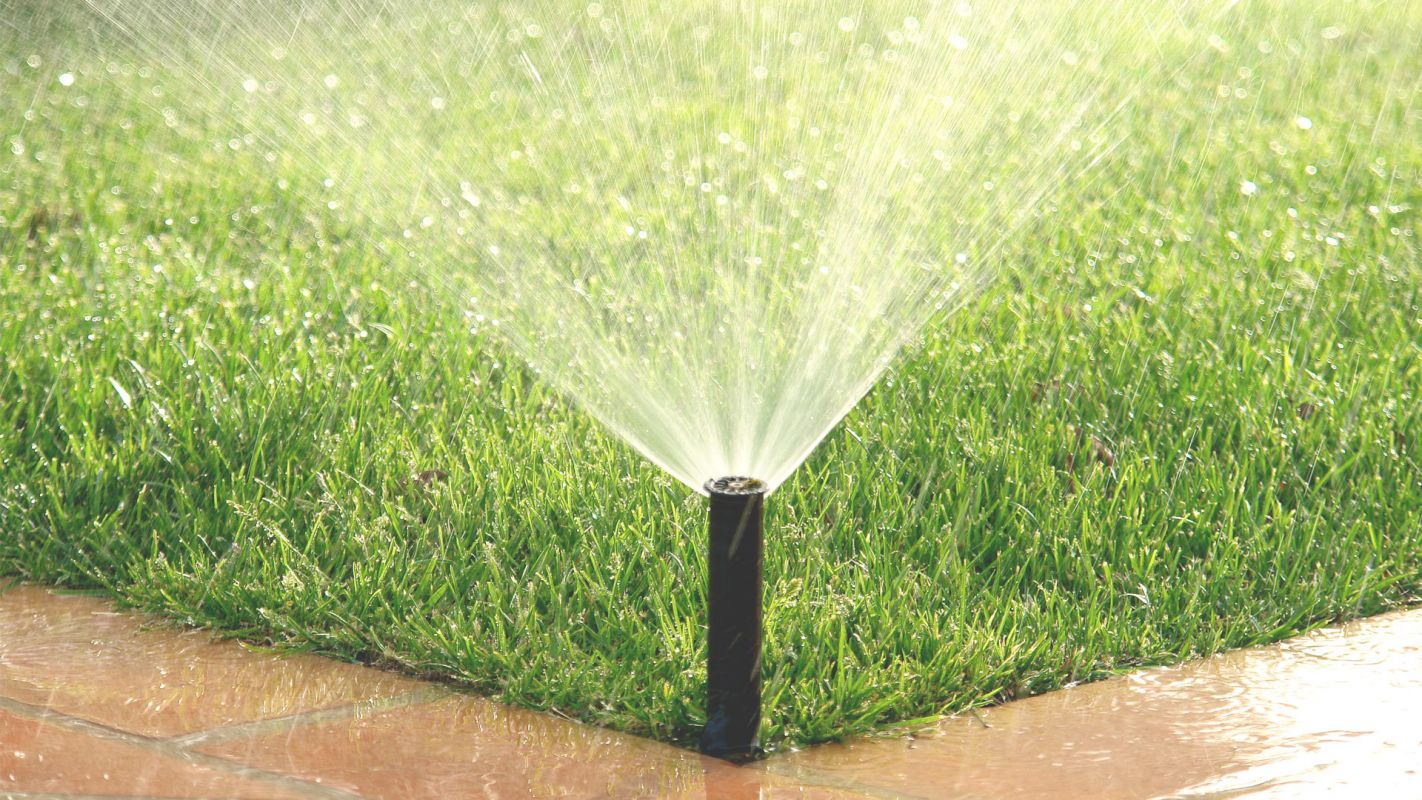 Save Water Through #1 Irrigation Company Surprise, AZ