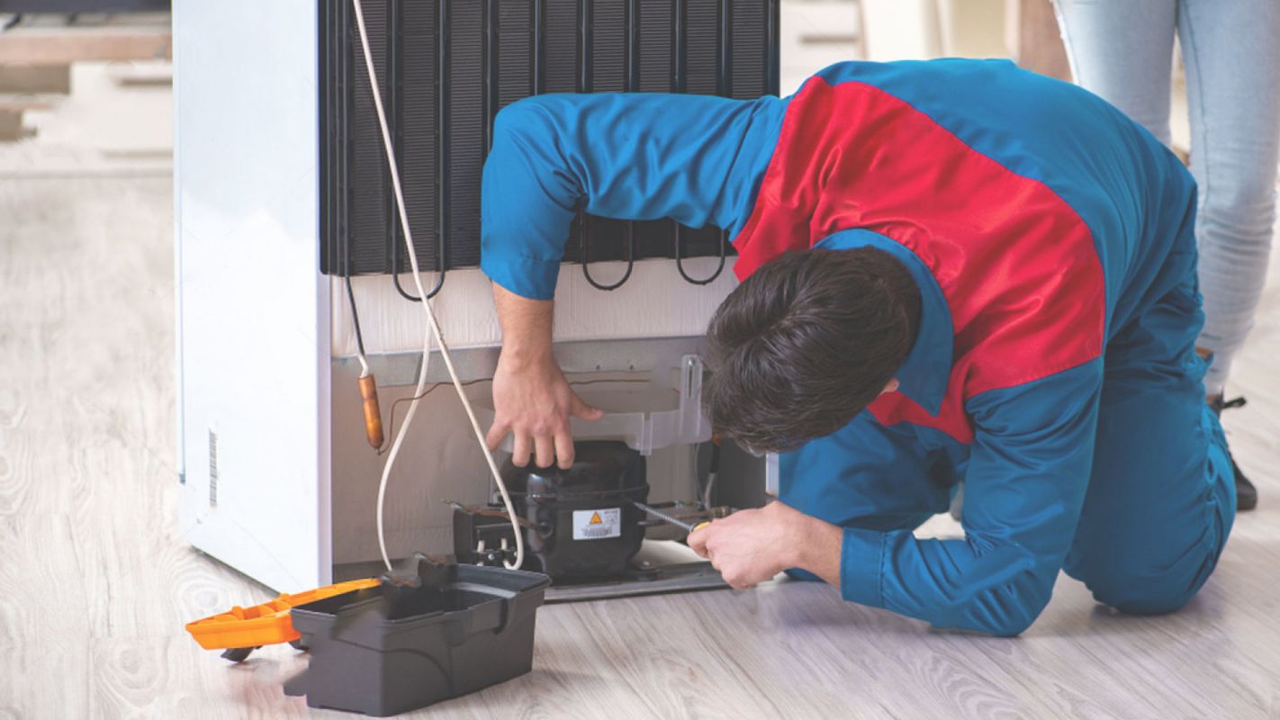 Trusted Company for Appliance Repair Services in Oakfield, GA