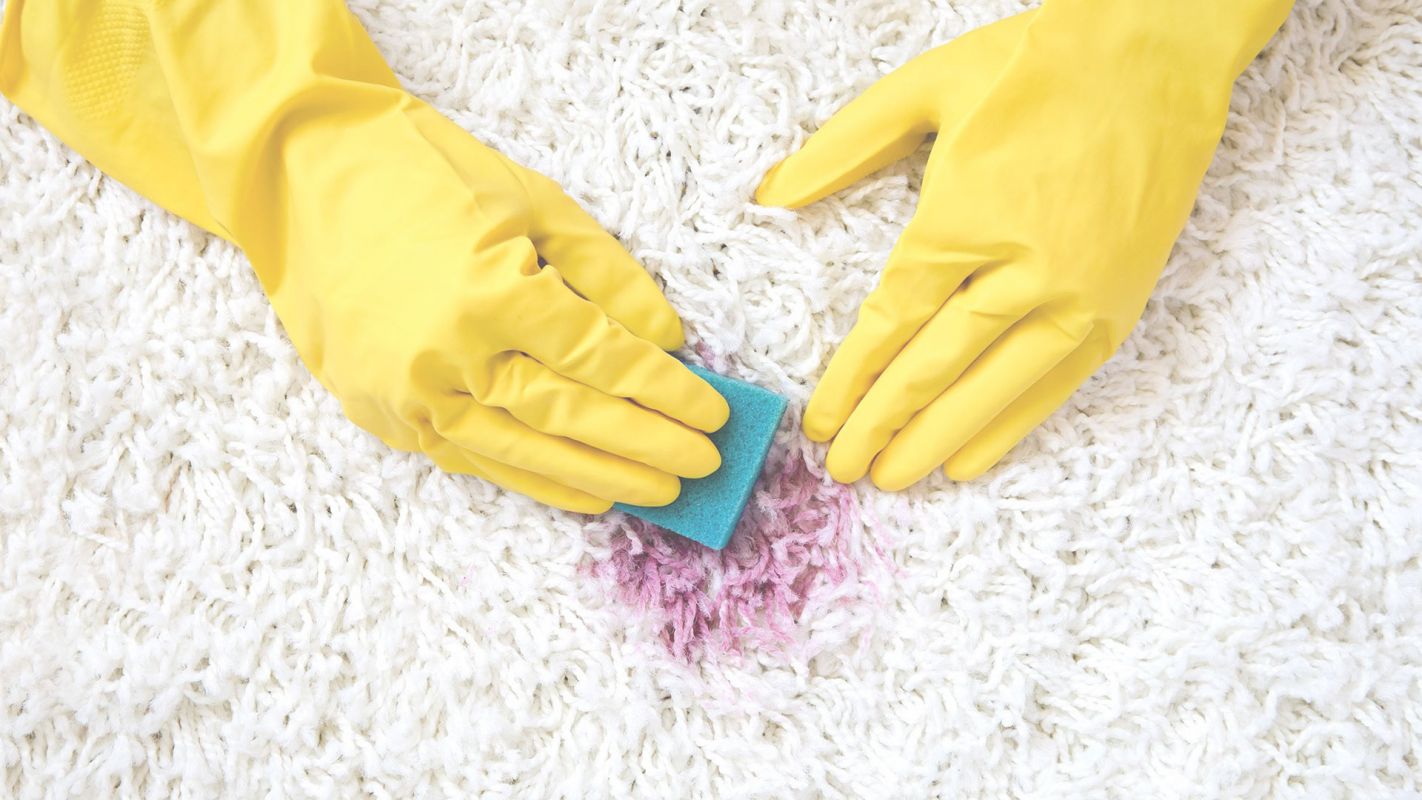Hire the Best Stain Removal Company Newport Beach, CA