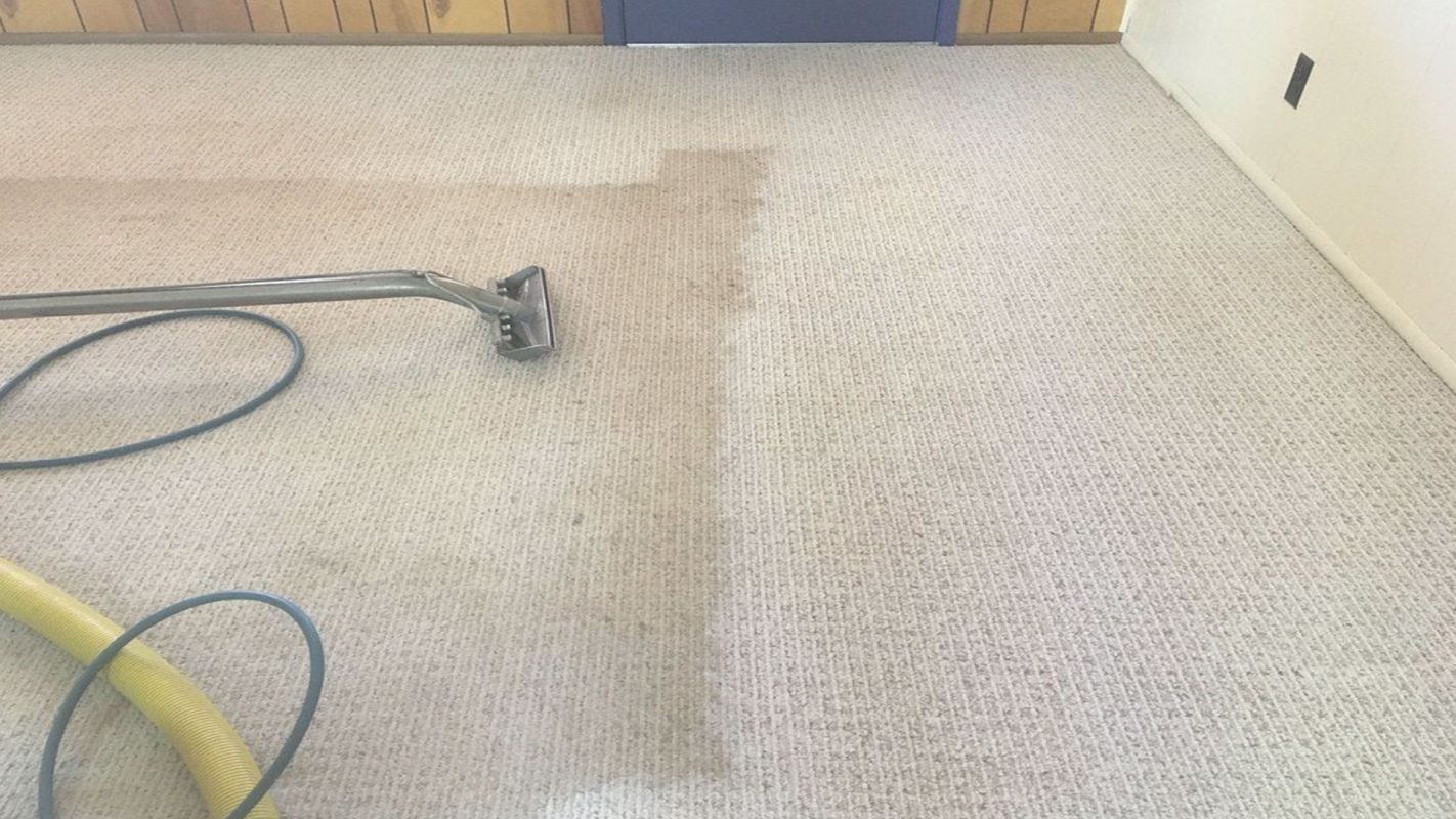 Professional Carpet Cleaners Use Right Cleaning Tools Grand Prairie, TX