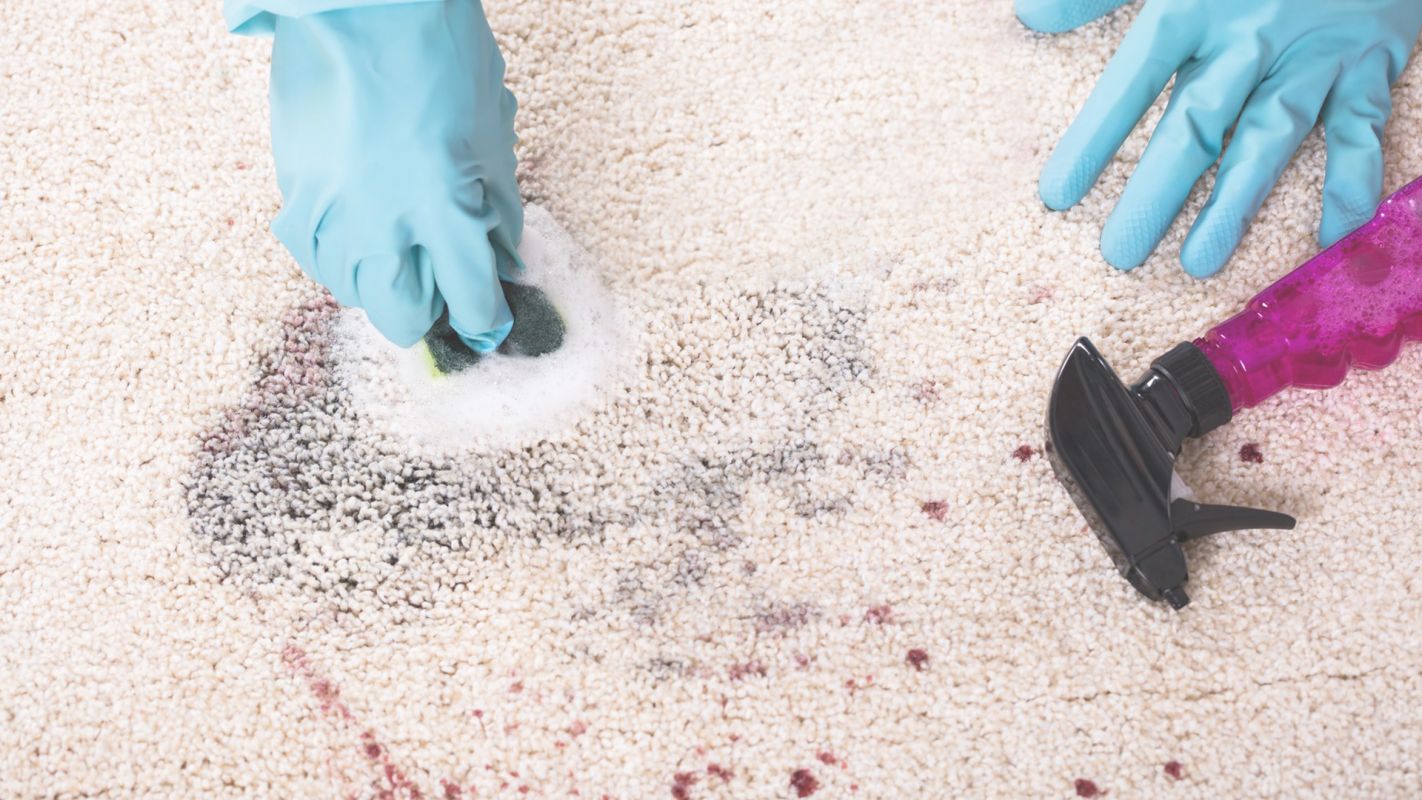 Fast & Efficient Carpet Stain Removal Services Providence, RI