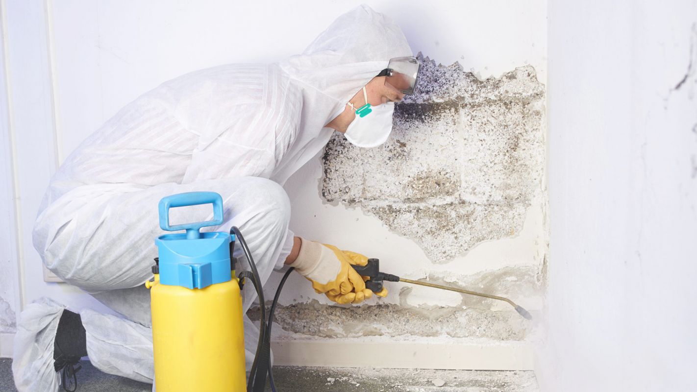 Professional Mold Remediation Services at Your Disposal! Mesa, AZ