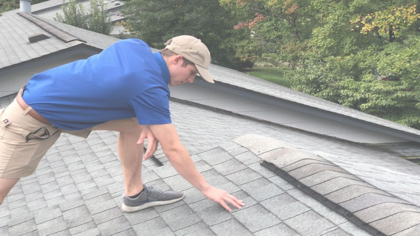 Immaculate Roof Inspection Service Sulphur Springs, TX