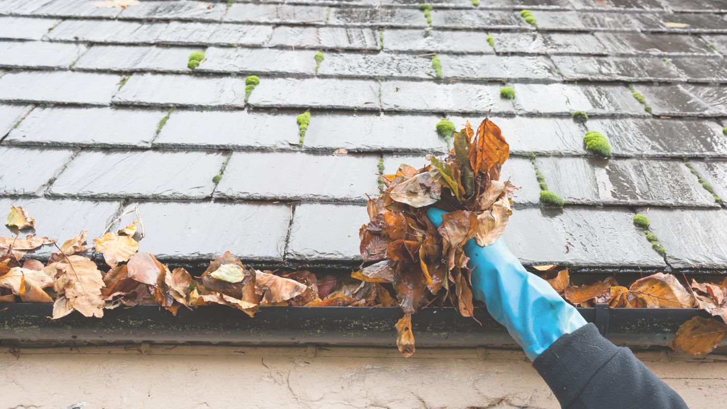 Roof Gutter Cleaning – No More Mess Louisville, CO