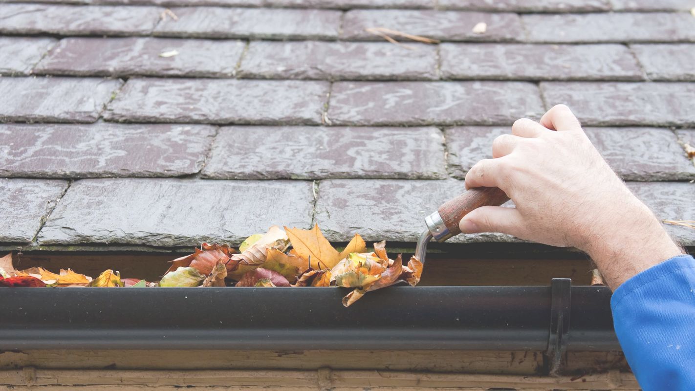 Gutter Cleaning Cost that You Can Afford Louisville, CO