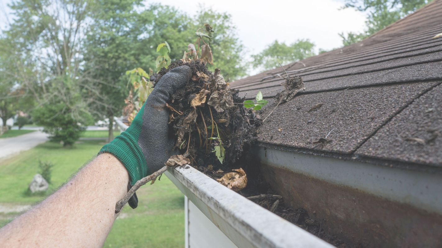 Gutter Cleaning Service for Your Clogged Gutters Louisville, CO