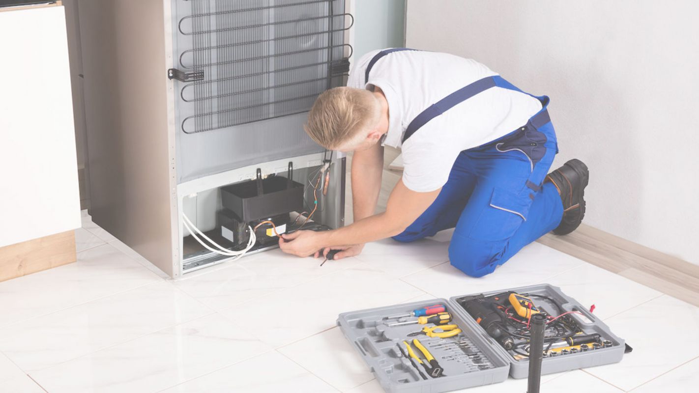 Regular Refrigerator Repair Prevent Mold Randallstown, MD