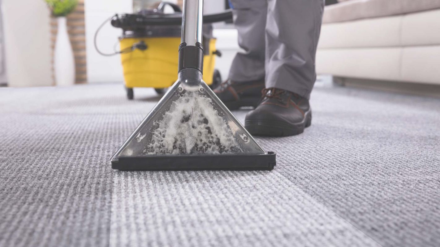 Top Carpet Cleaning Company Equipped with Portable Cleaning Machine in Republic, MO