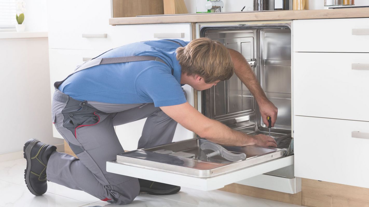 The #1 Dishwasher Repair in Town Twinsburg, OH
