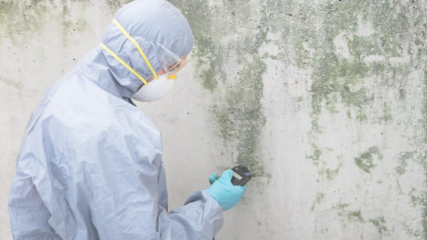 Mold Inspection to Put an End to Your Worries Fairfax, VA