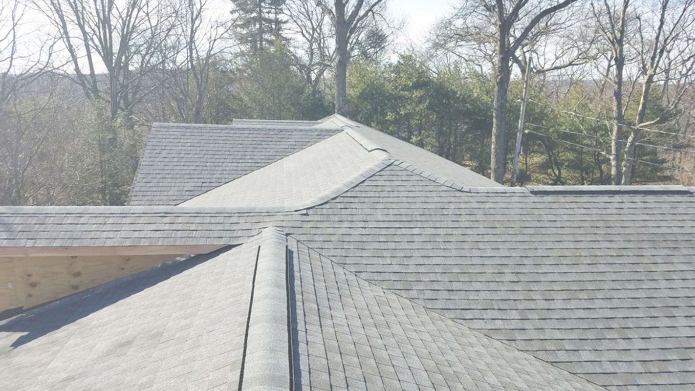 Affordable and Durable Shingle Roofing Service East Brunswick, NJ