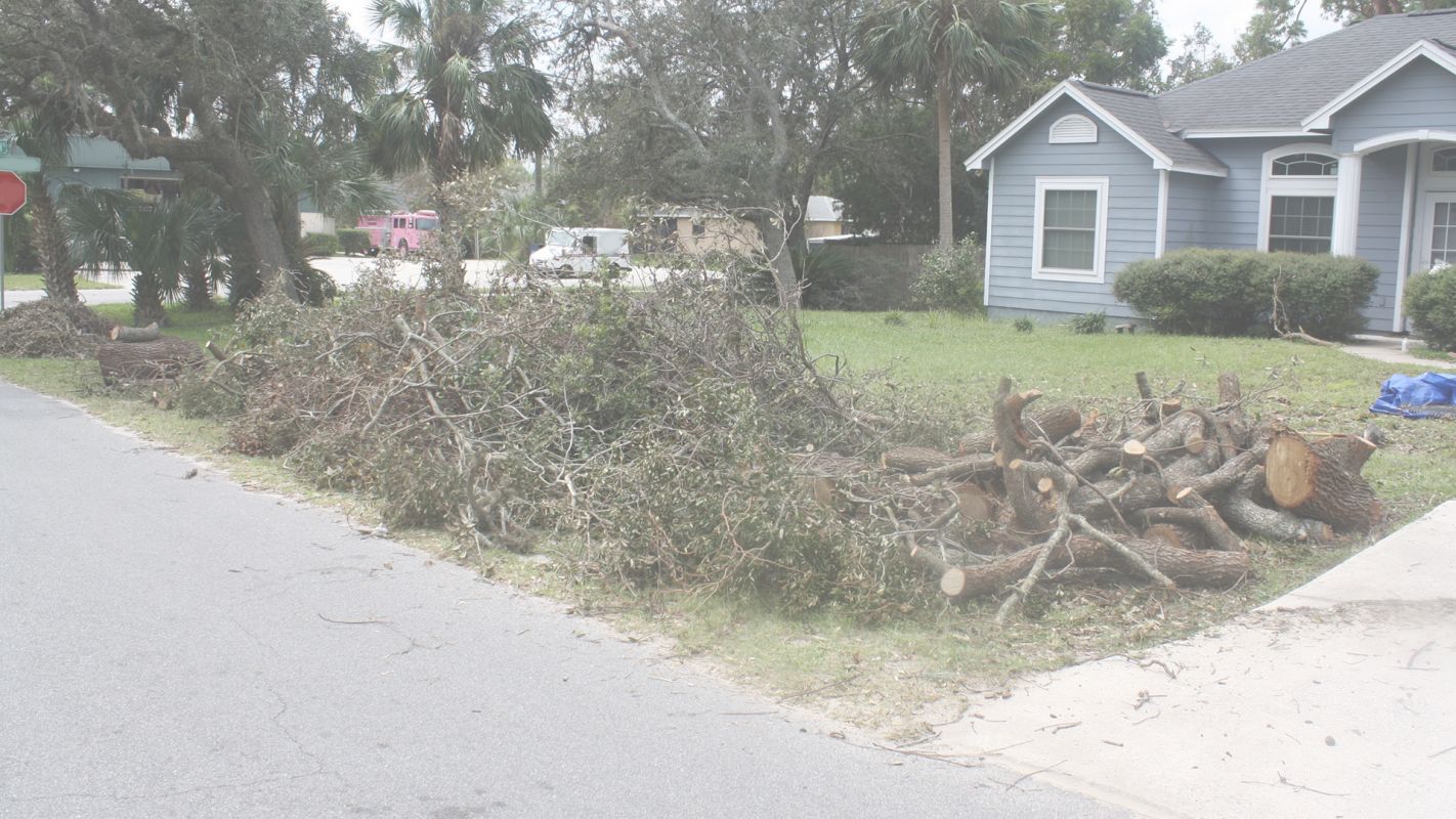 Flat Rate Renovation Debris Cleanup Service in Campbell, OH