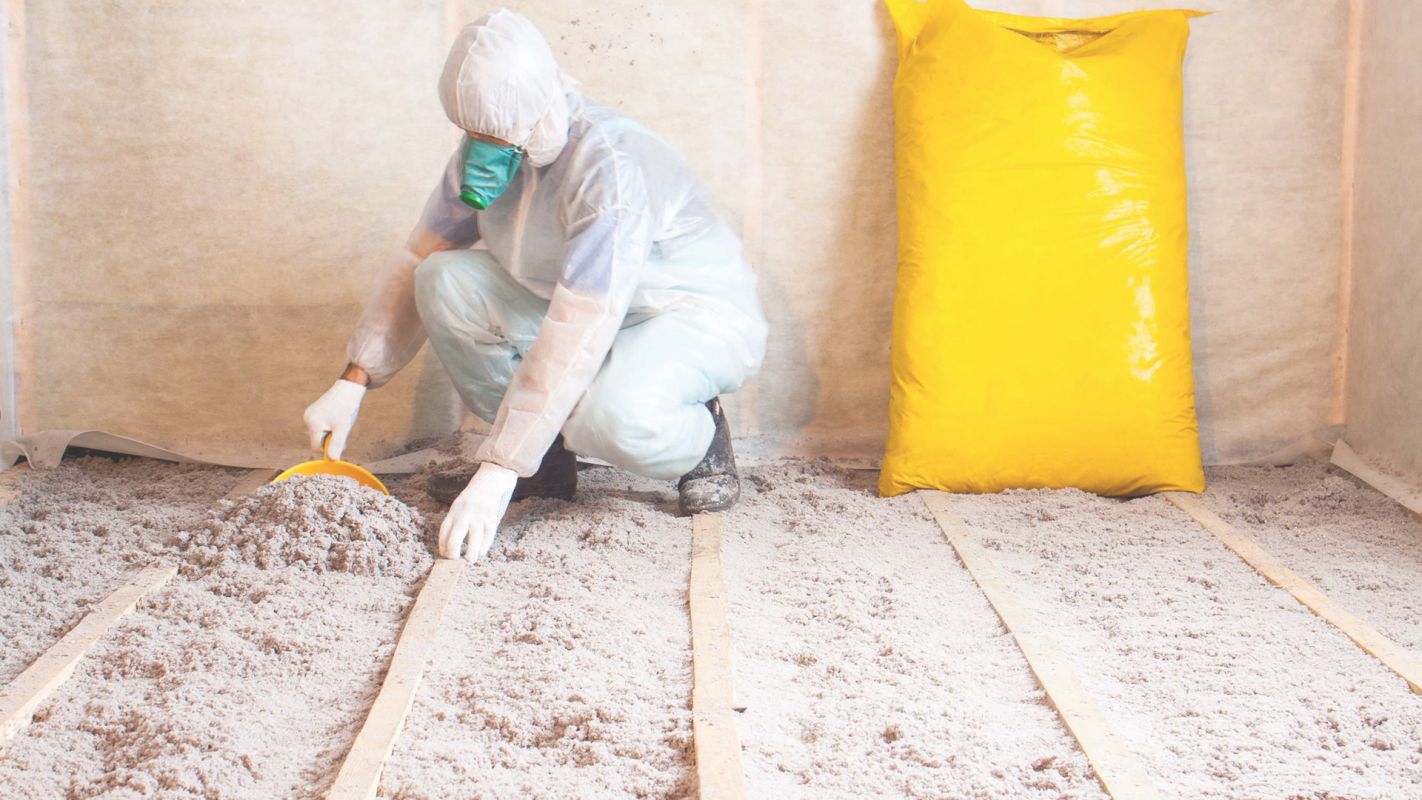 Insulation Removal Services in Oviedo, FL