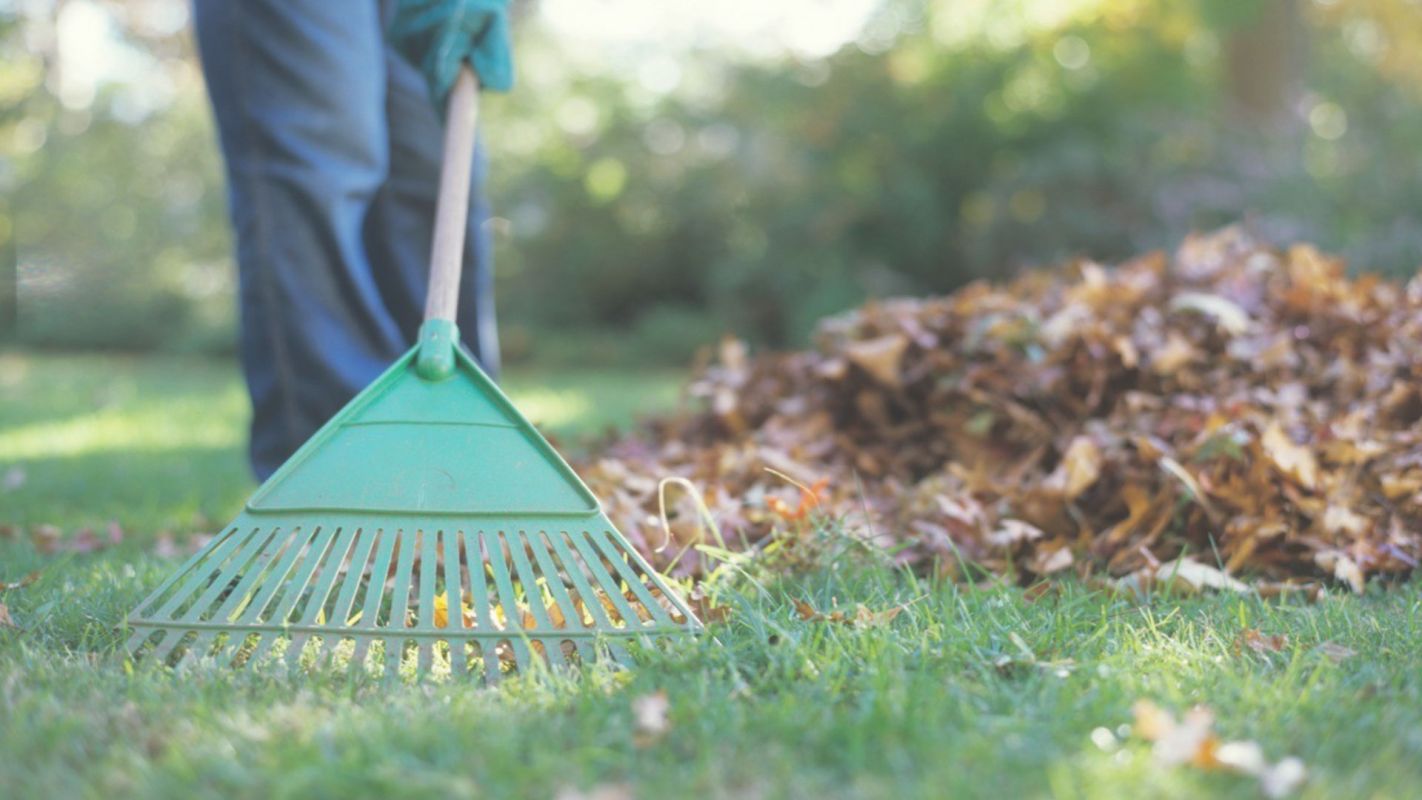 Thorough Garden Cleaning for You Oro valley, AZ