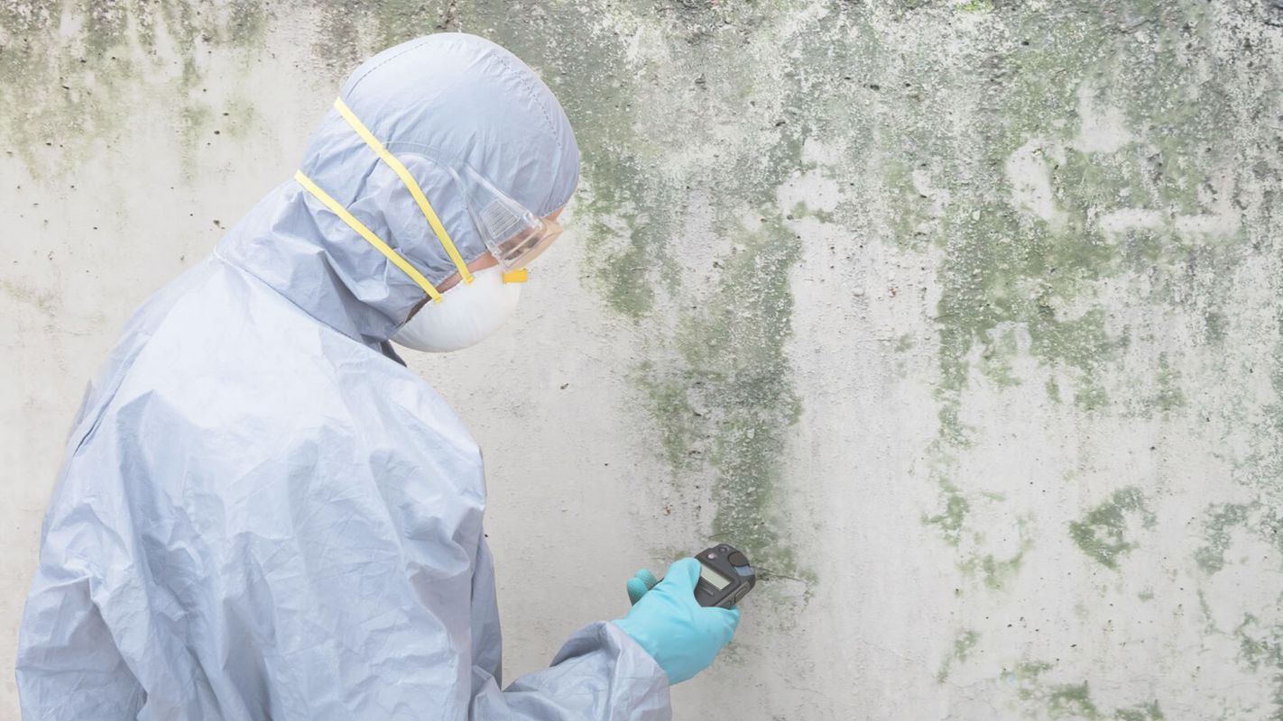 Our Mold Inspectors Provide an Accurate Mold Assessment West-Houston, TX